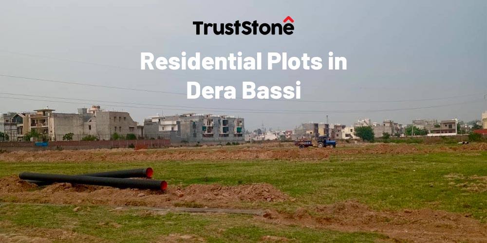 red rose city plots dera bassi
